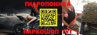 прущие грибы Тверь
