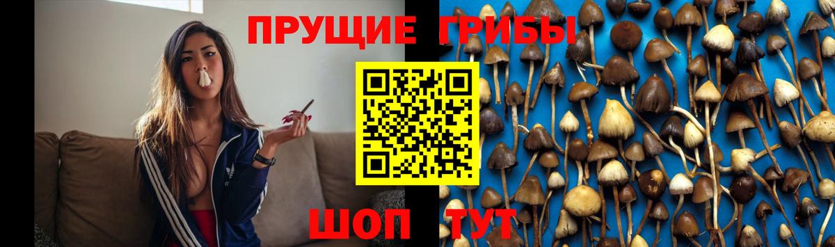 Псилоцибиновые грибы ЛСД  Вход с VPN  Орск 
